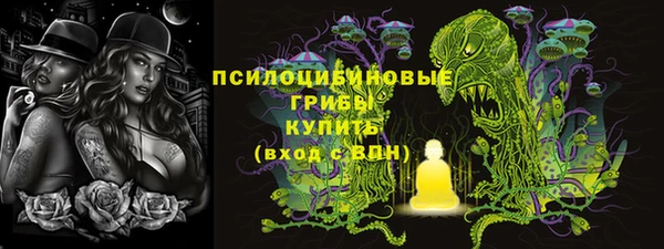 прущие грибы Армянск