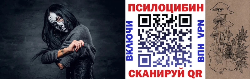 Псилоцибиновые грибы Psilocybe  Лянтор 