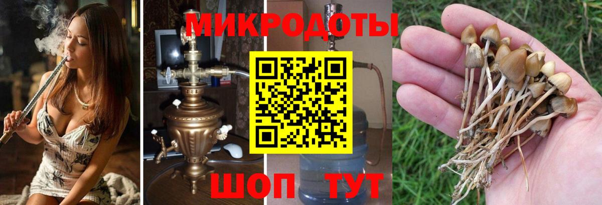 Псилоцибиновые грибы прущие грибы Лянтор