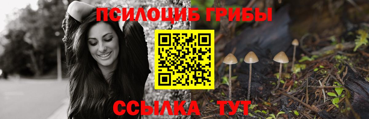 Лянтор  Псилоцибиновые грибы Cubensis  Галлюциногенные грибы GOLDEN TEACHER  Вход с VPN 